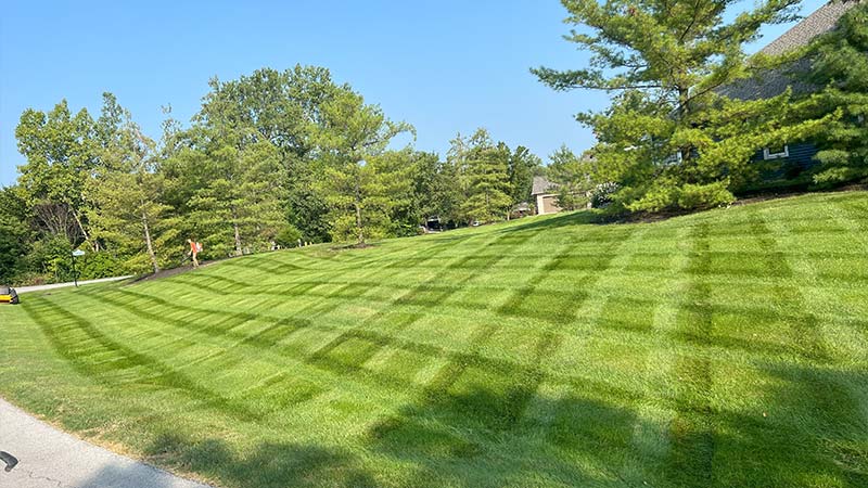 Mowing services in Lima, OH | Cutting Edge Lawn Solutions